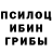 Псилоцибиновые грибы Cubensis HaKoleniOleni