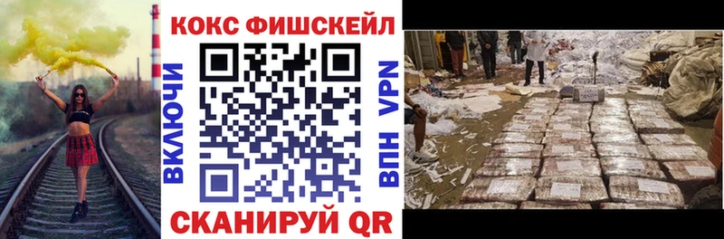 купить закладку Шарья Cocaine Fish Scale