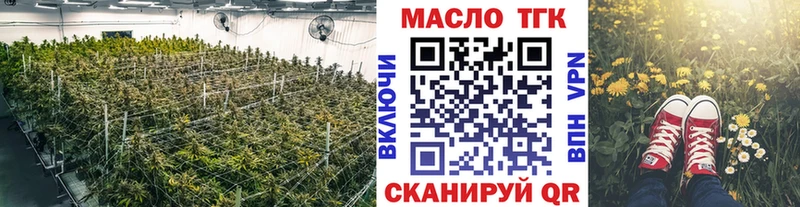 ТГК концентрат  цена   Шарья 